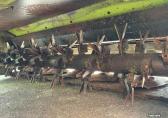 Claas Disco 3050 C Maaier