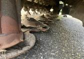 Claas Disco 300 C